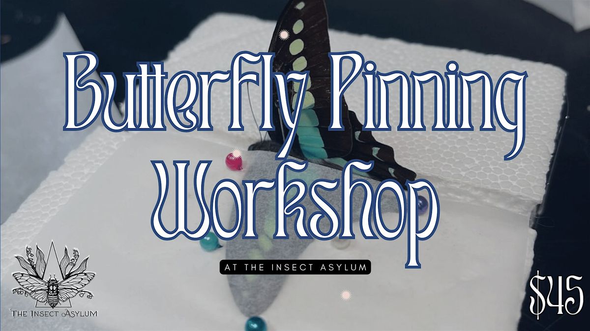 Butterfly Pinning Workshop