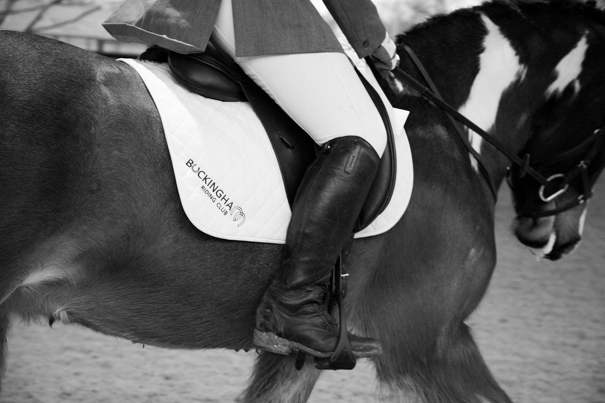 Show Jumping Clinic at Aston Le Walls