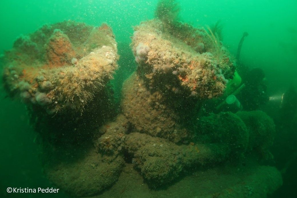 Boat Diving With Wight Spirit From Lyminington to Isle Of Wight