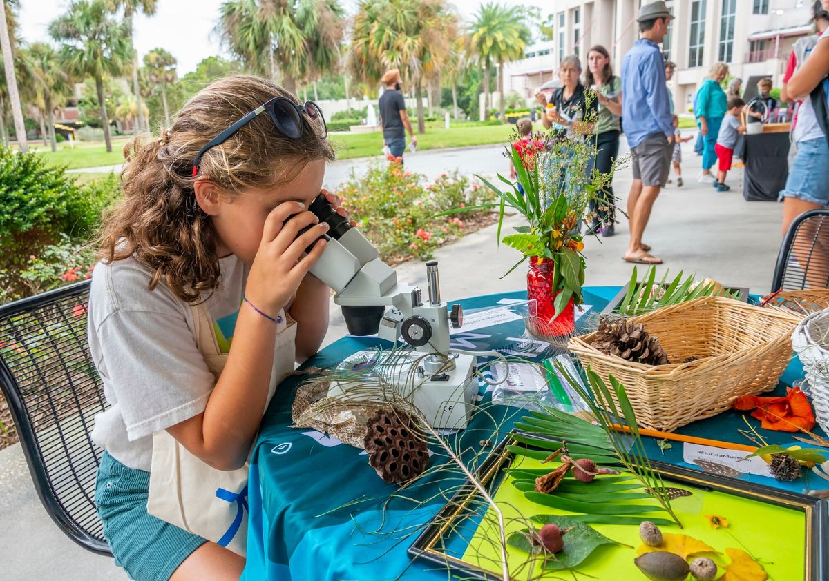 Museum Fest: Explore What's Next at the Florida Museum