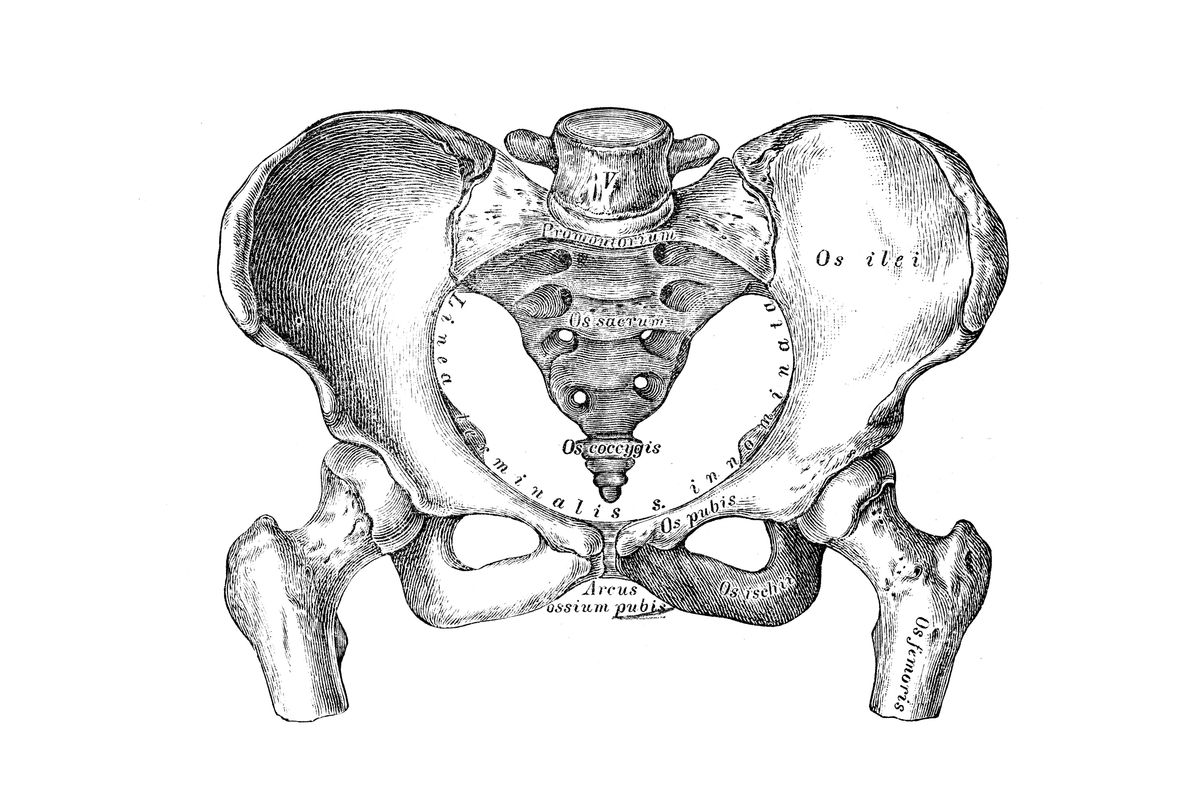 Pelvic Floor 101