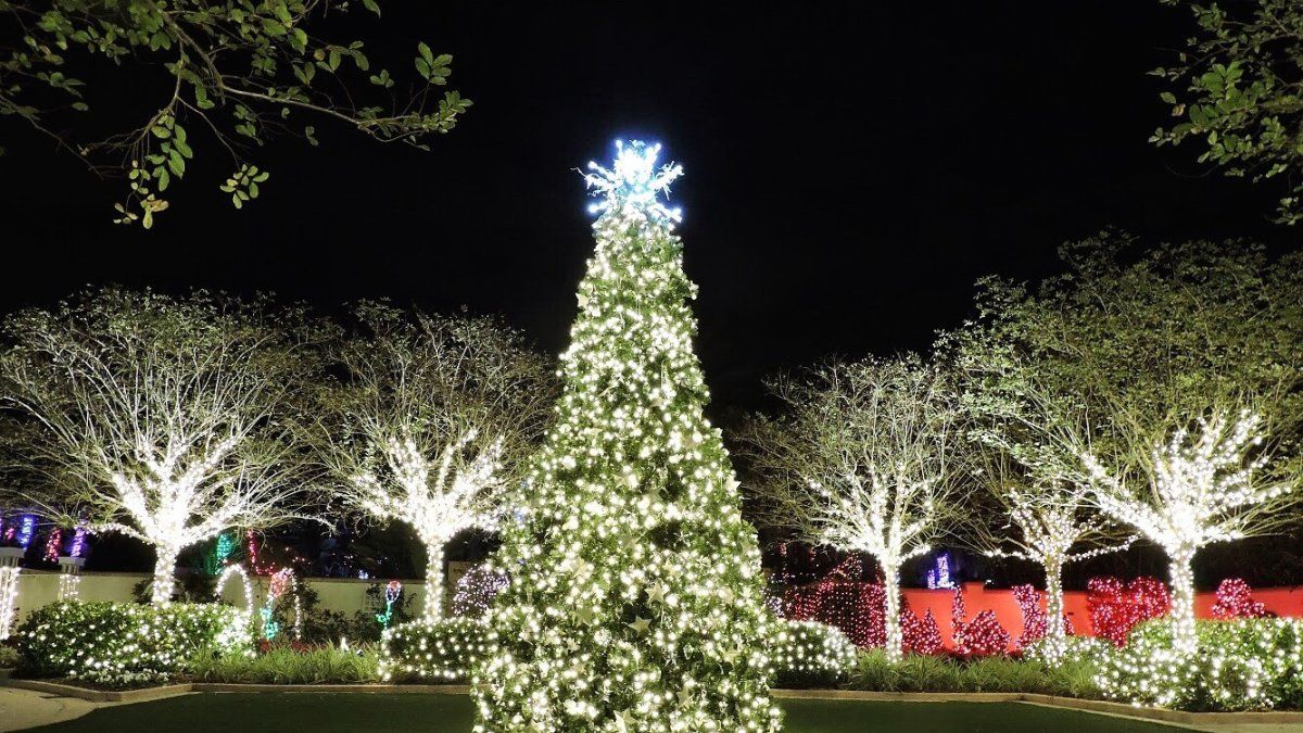 Dancing at Holiday Lights