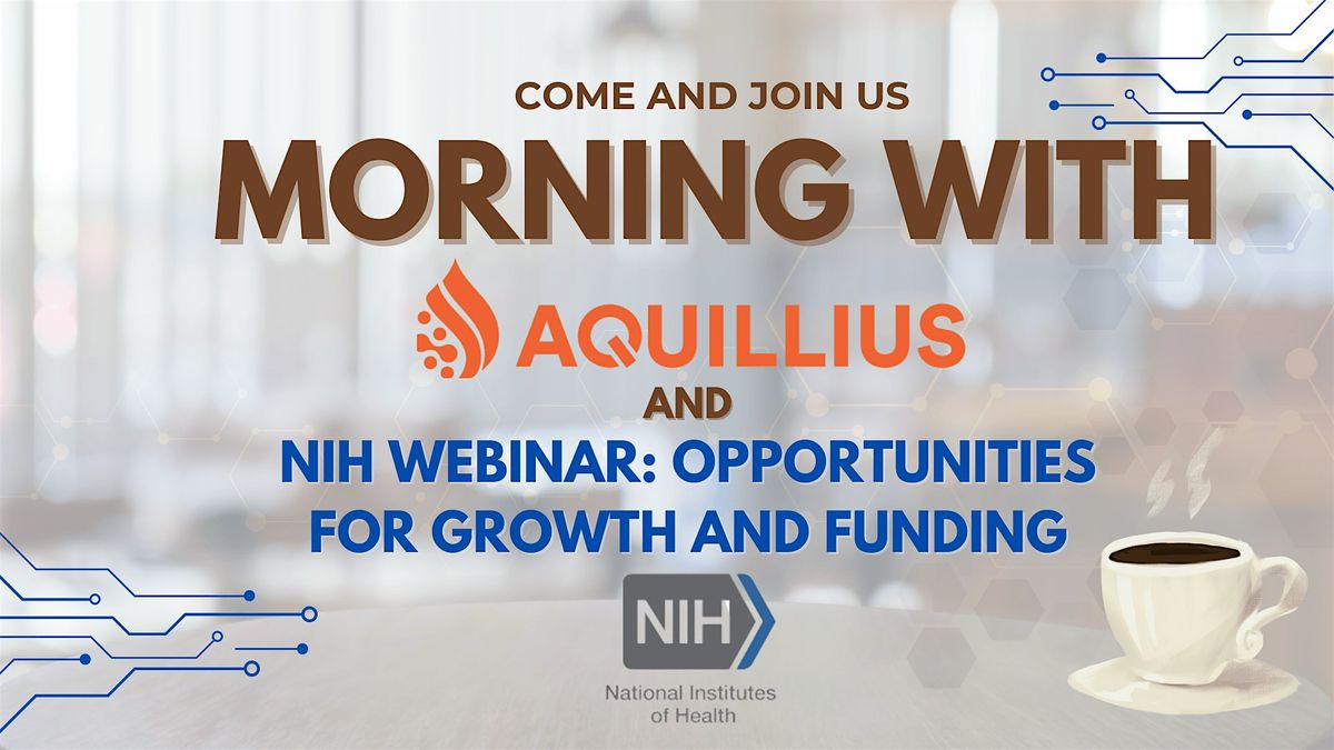 Morning with Aquillius