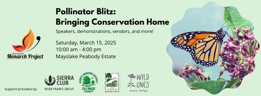 Pollinator Blitz: Bringing Conservation Home