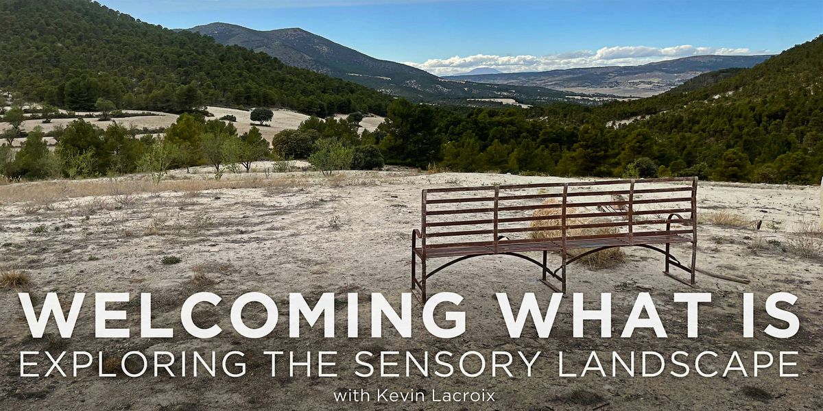 Welcoming What Is - Exploring The Sensory Landscape