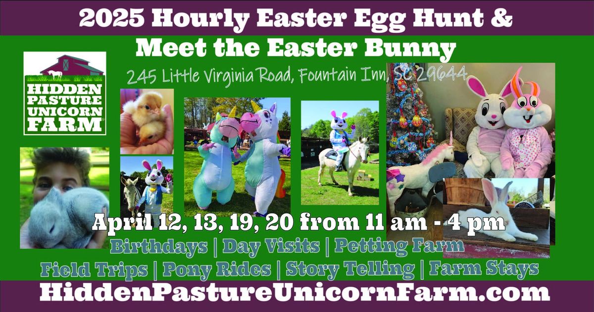 Easter Egg Hunt Hourly & Meet The Easter Bunny