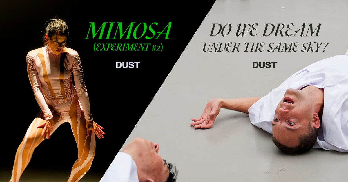 DUST: MIMOSA (experiment #2) & Do We Dream Under the Same Sky?