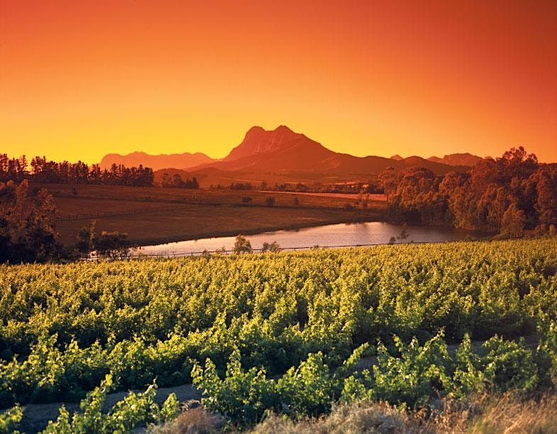World of Wine Series: South Africa with Francois Haasbroek