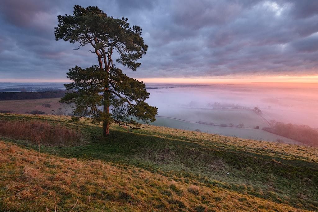 Trek\/Fit Hikes: Pewsey White Horse, the Giants Grave and Bluebell Woods!