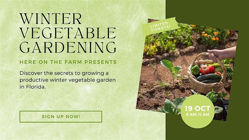 How to Grow your own Florida Winter Vegetable Garden