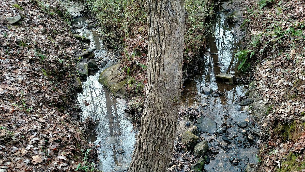 Georgia Adopt-A-Stream Visual Stream Monitoring Workshop