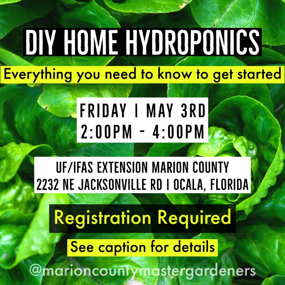 DIY Home Hydroponics 
