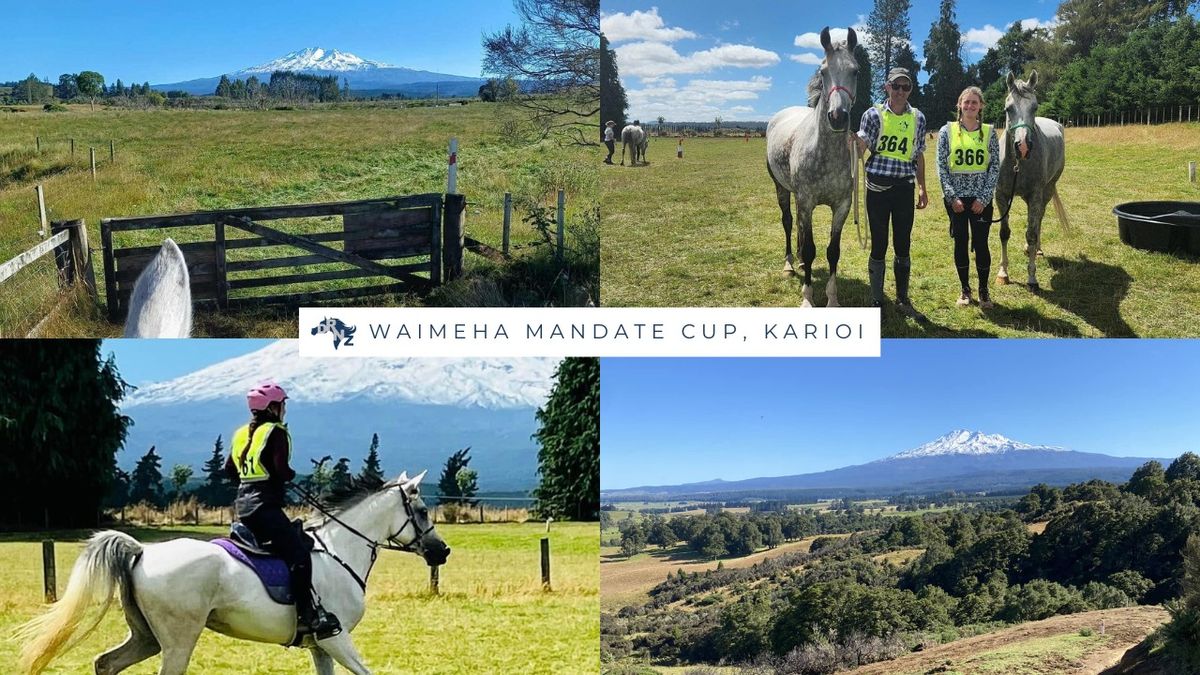 DRNZ Waimeha Mandate Cup, Karioi 