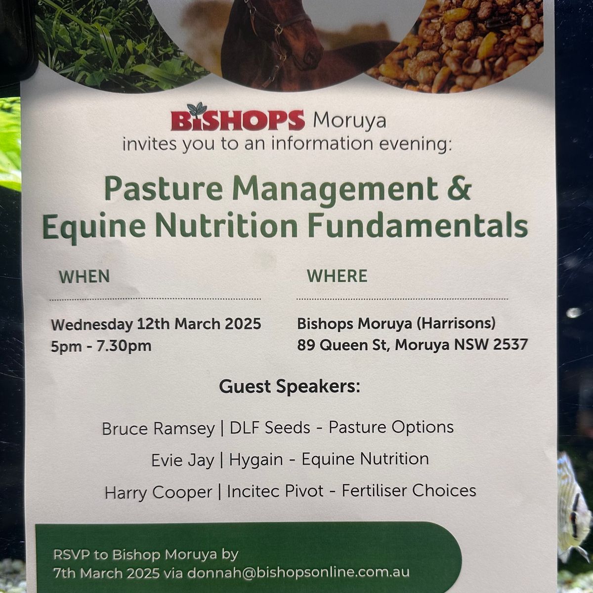 Bishops Moruya's Pasture Management & Equine Nutrition Fundamentals Information Night