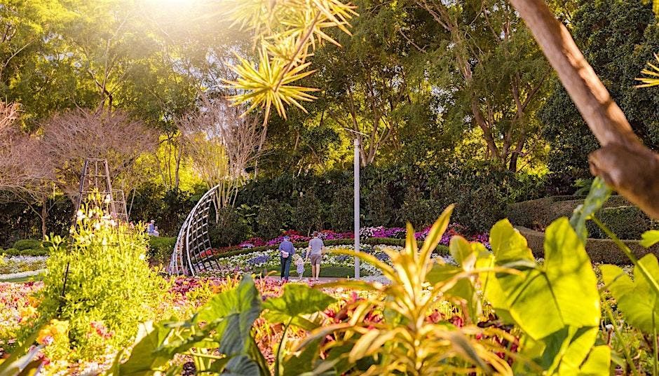 Guided Tour-Spectacle Garden in Colin Campbell Place, Roma Street Parkland