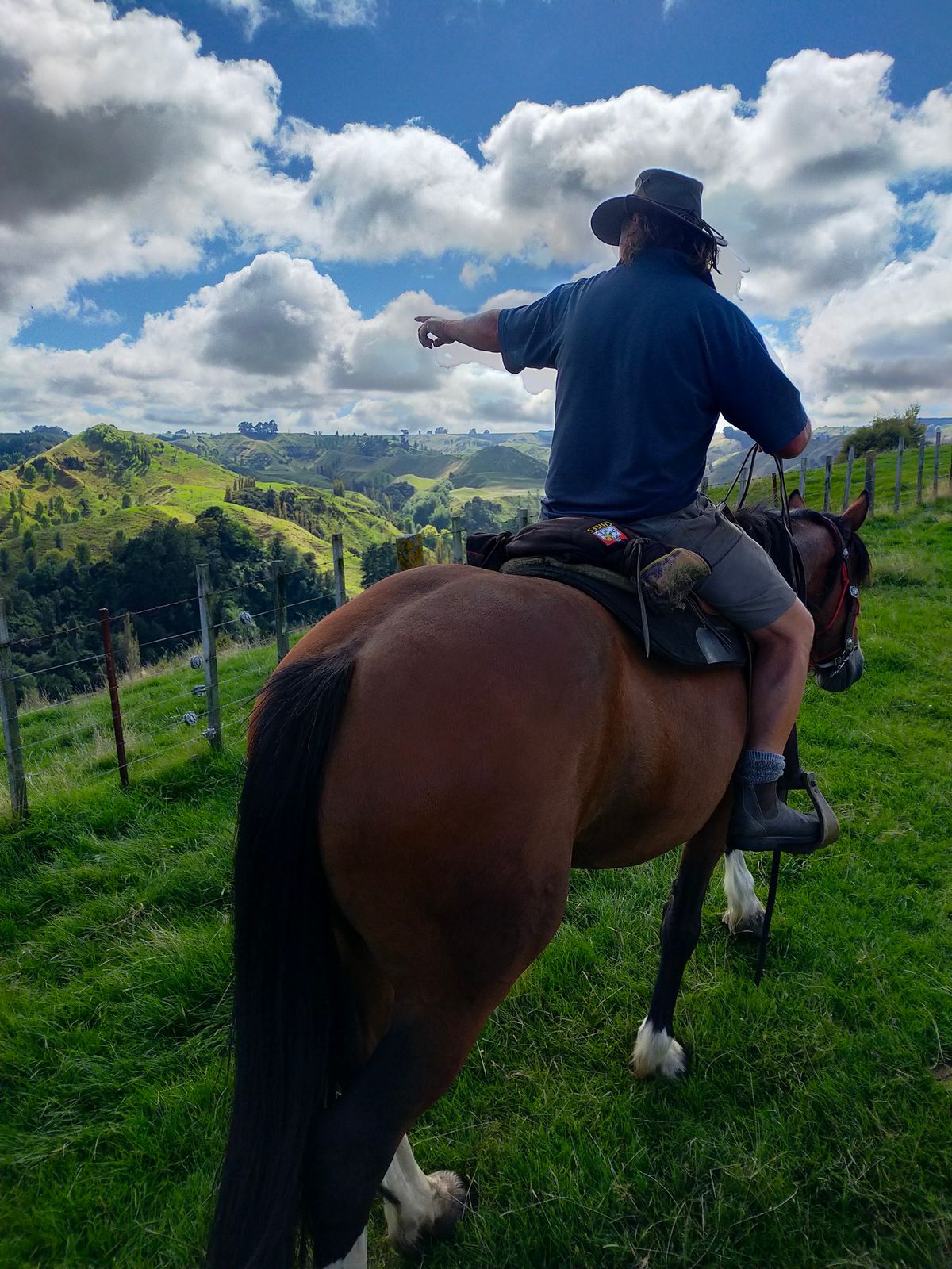 Adult Horse Riding Camp