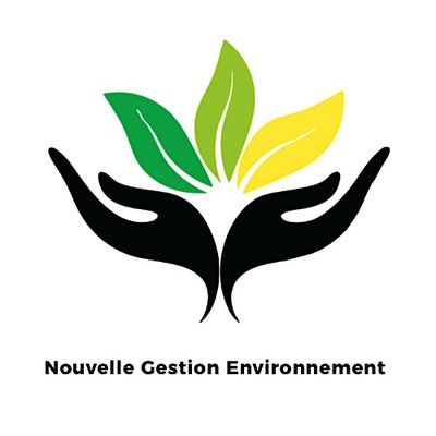 Nouvelle Gestion Environnement