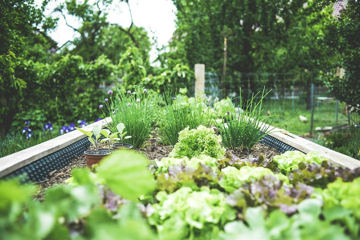 Make Your Own Herb Garden Workshop