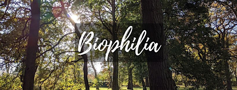 Guided Tour: Biophilia