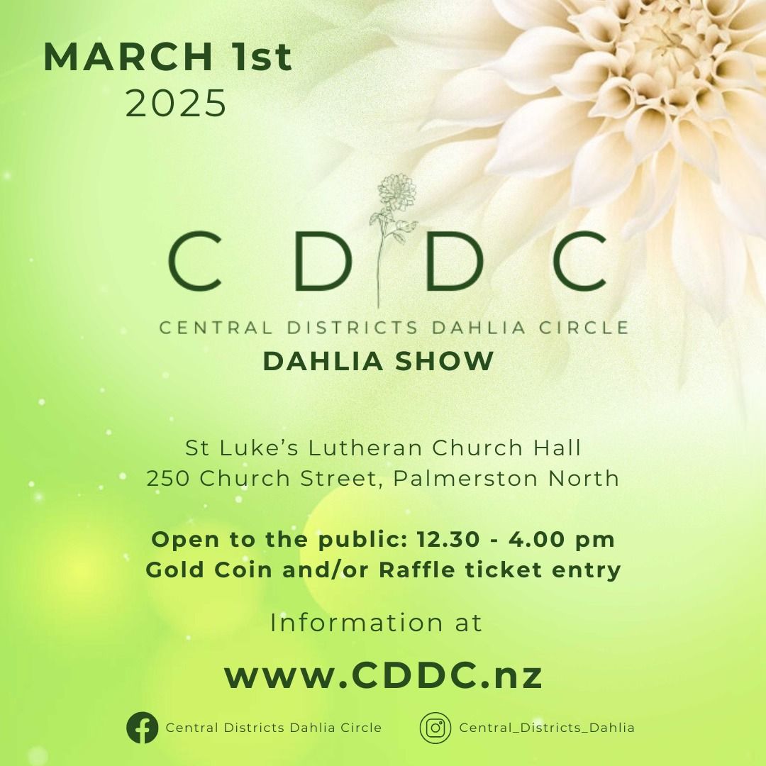 CDDC Dahlia Show with Rainbow \ud83c\udf08 competition 