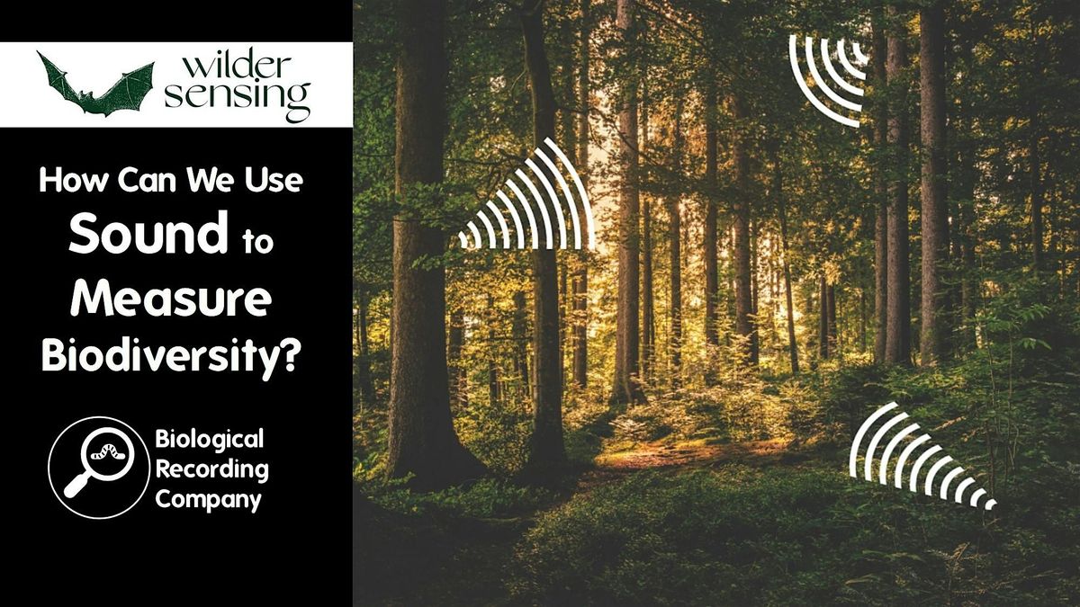 How Can We Use Sound to Measure Biodiversity?