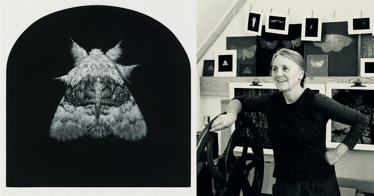SARAH GILLESPIE Mezzotint Printing in the Gallery  Session two: 2pm - 3pm