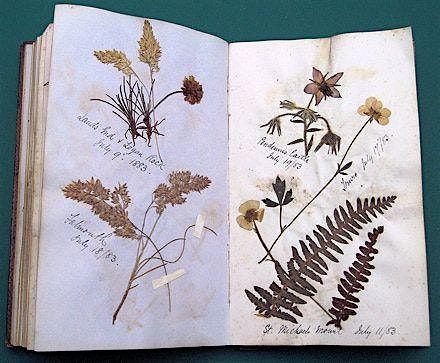 Victorian Crafts Class: Dried and Pressed Flowers