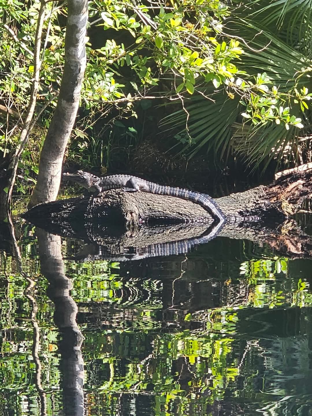 Wekiva Island to Katie's Landing