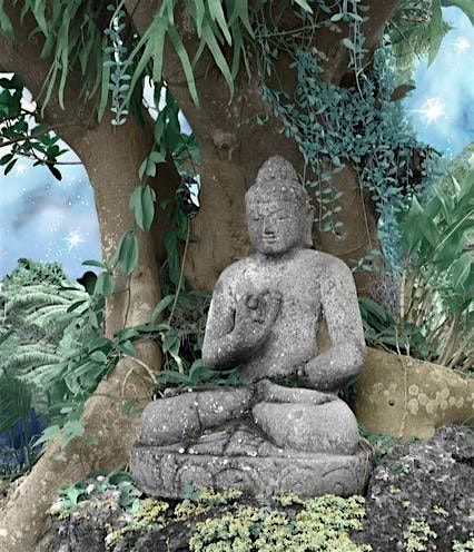 Guided Meditation and Discussion of Buddhist Teachings