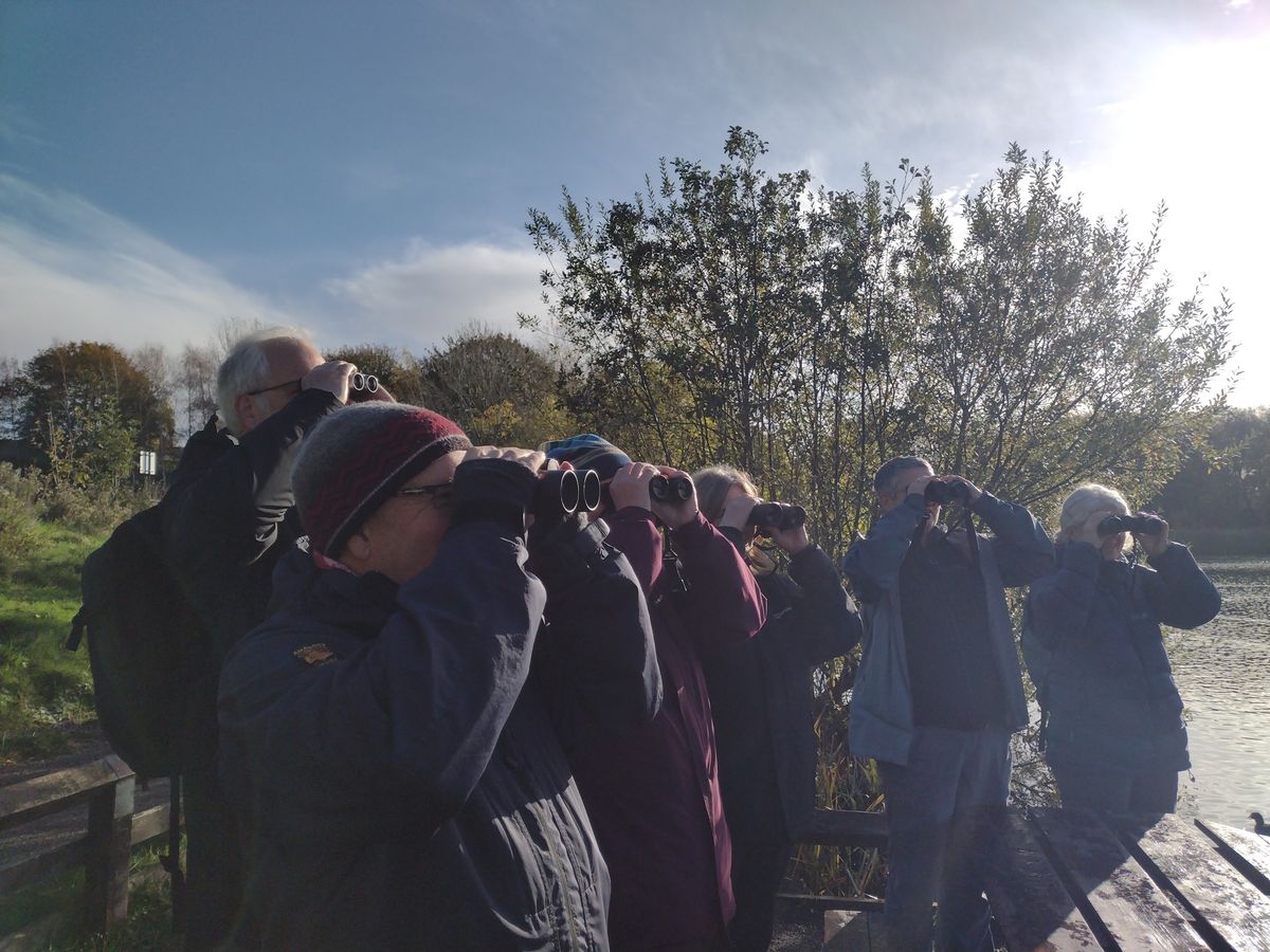 Birdwatching \u2013 Understanding More About Autumn Birds with Nature Stuff (Wednesdays)