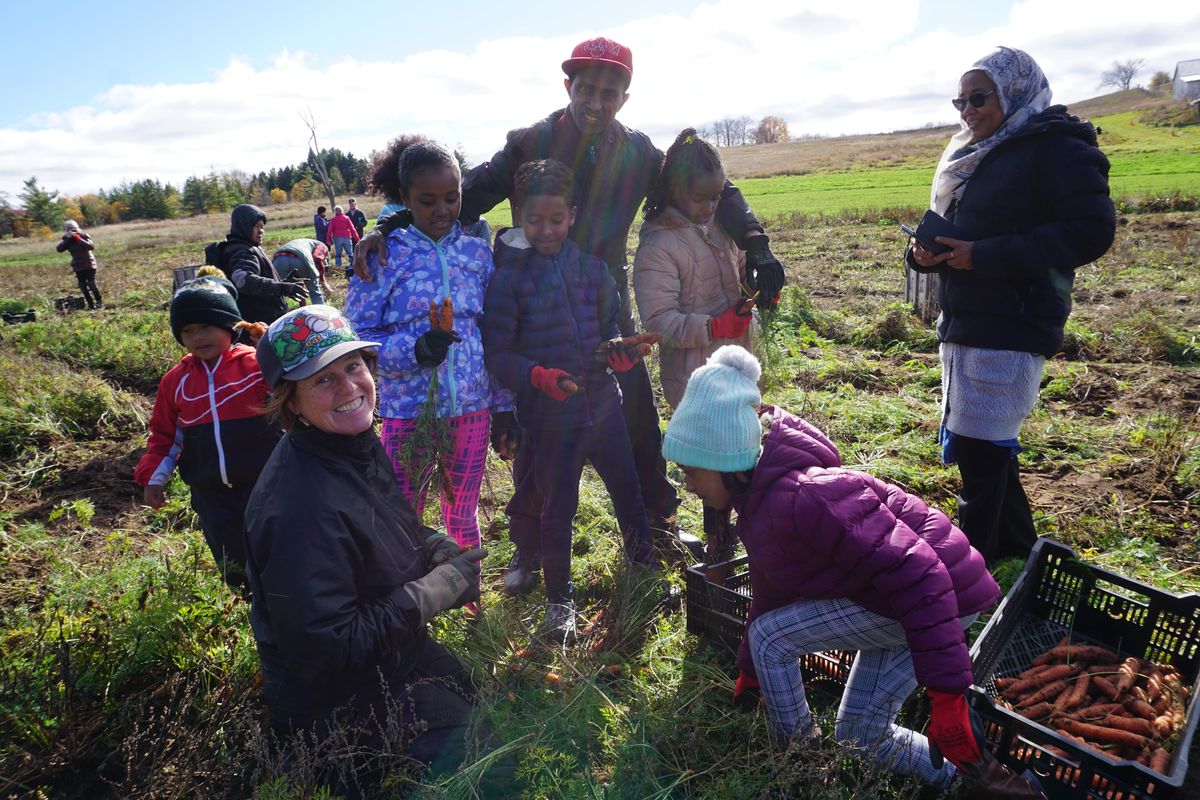 Community Harvest Days