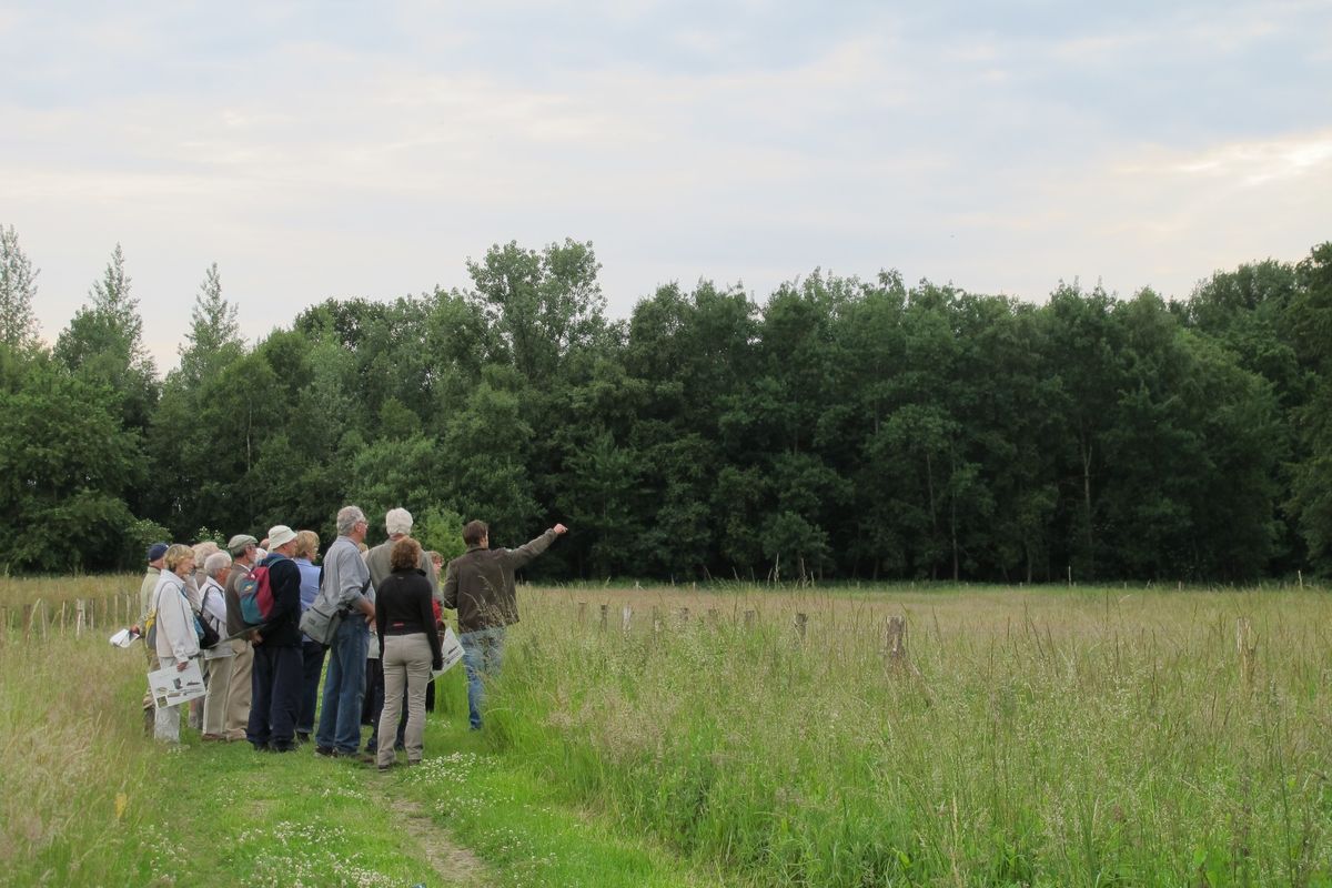 Op ontdekking met de Parkbosgidsen - Bomen in de winter