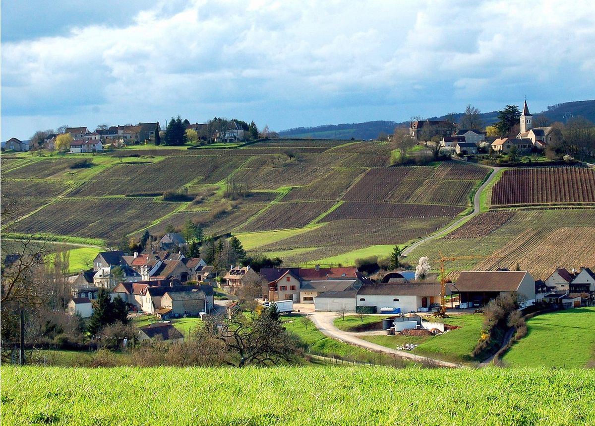 Demystify Burgundy France Wine