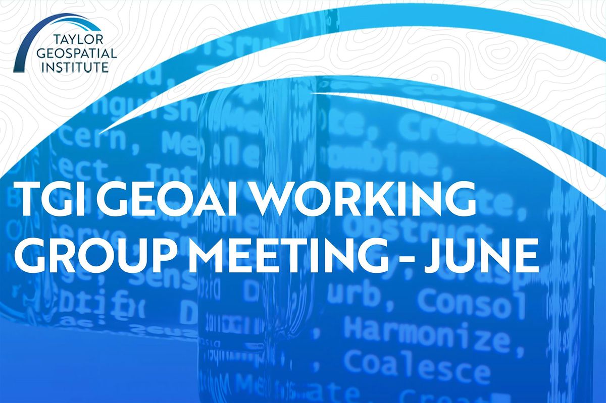 July TGI GeoAI Working Group Meeting (Hybrid)
