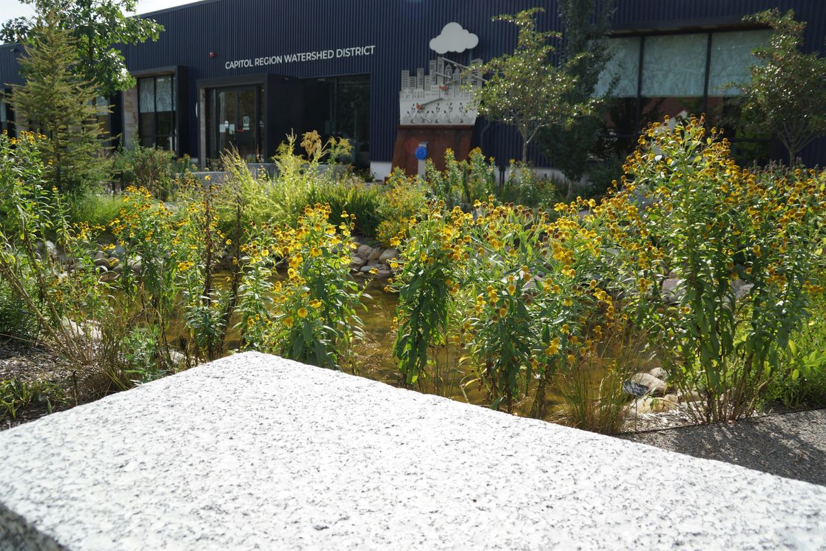 Seed Collection at Capitol Region Watershed District