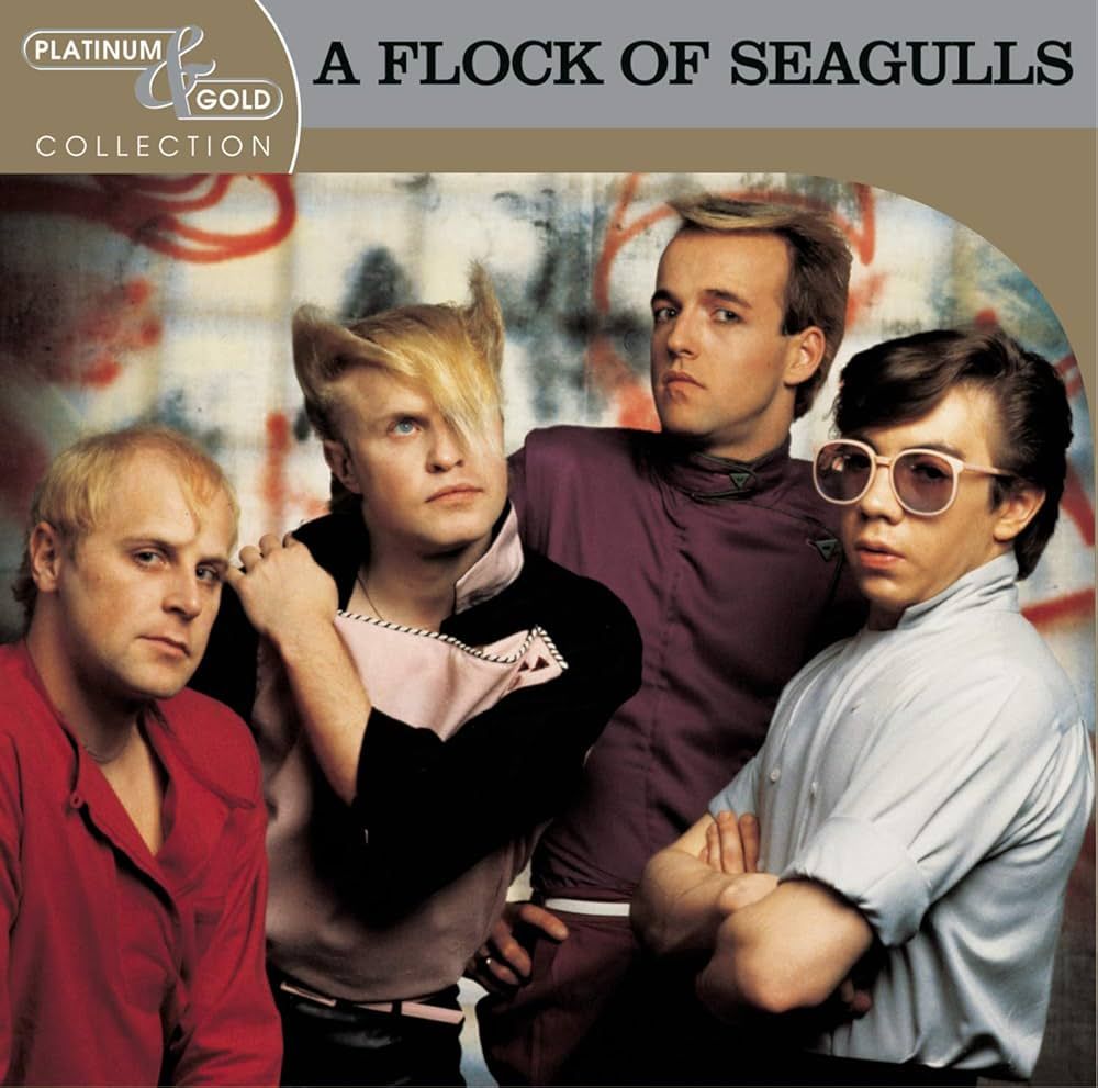 A Flock of Seagulls