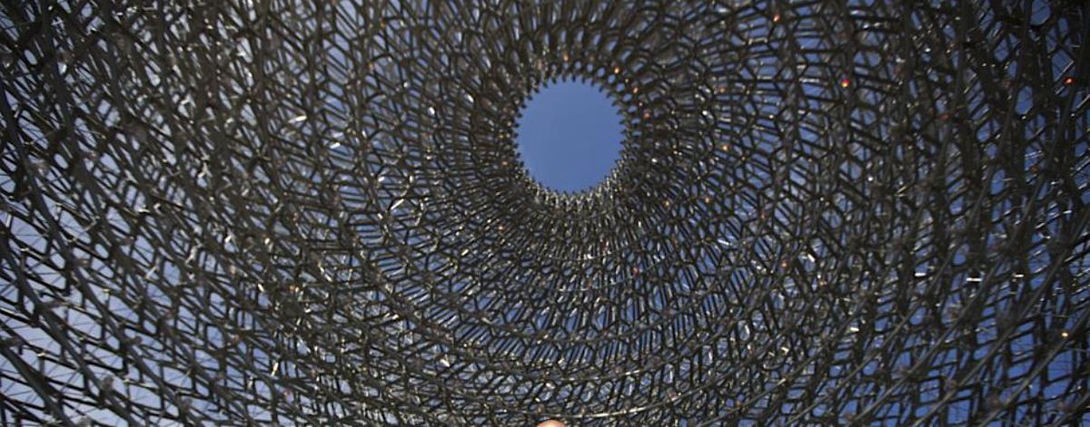 Atelier di Famiglia - Wolfgang Buttress: l'artista delle api