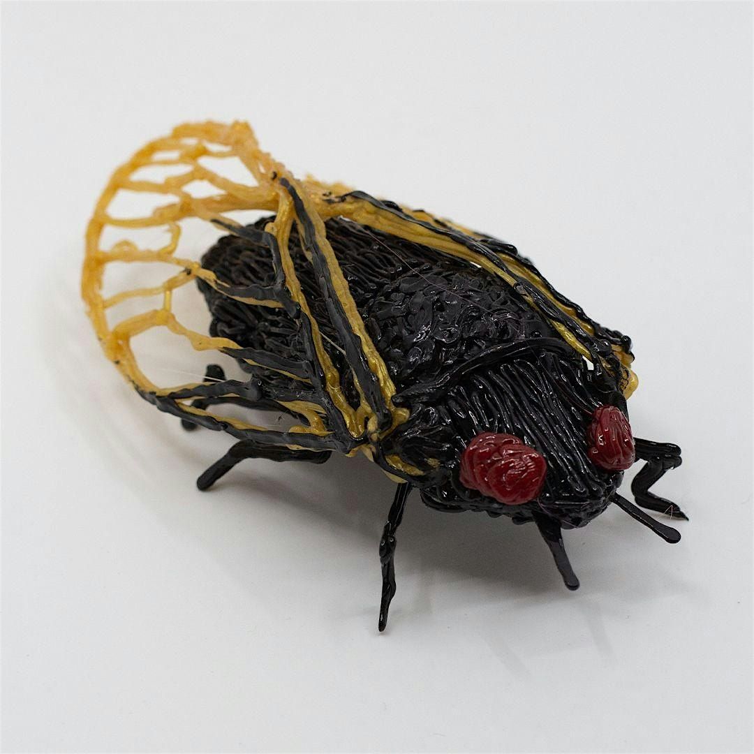 Adventures in 3D: Cicadas