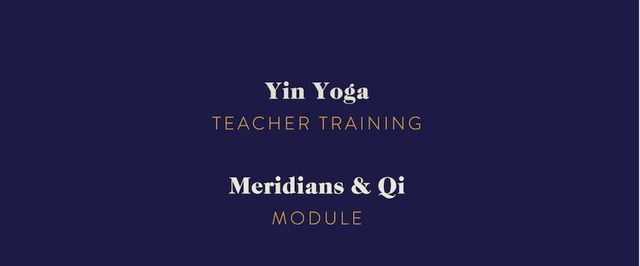 Teacher Training: Meridians and Qi