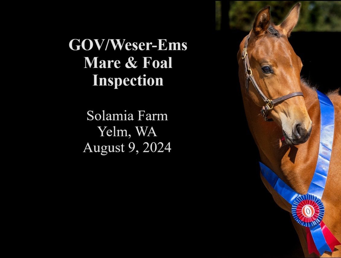 GOV\/Weser-Ems Mare & Foal Inspection in Yelm, WA