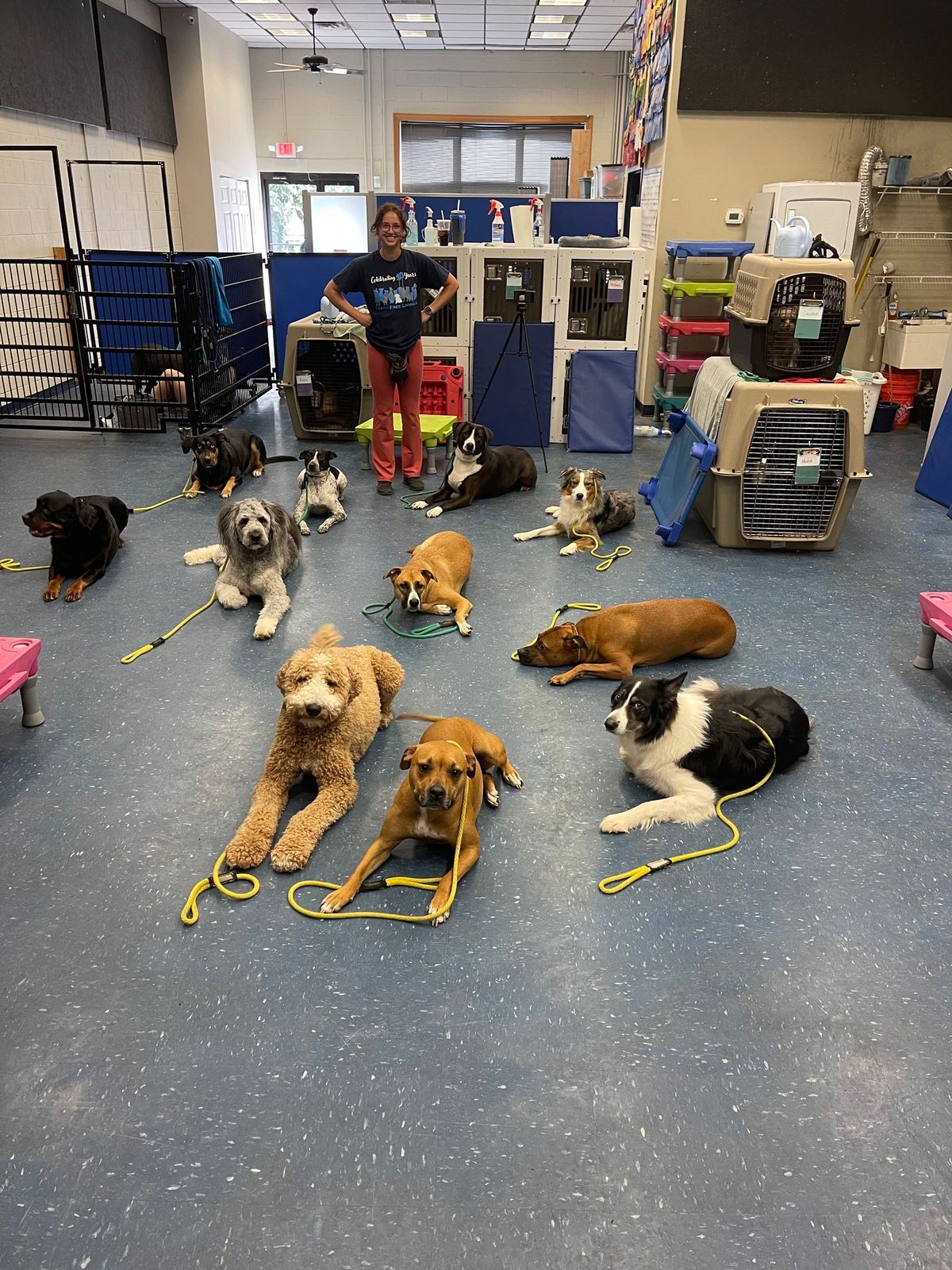 Canine Good Citizen Prep Group Class \/ 200L