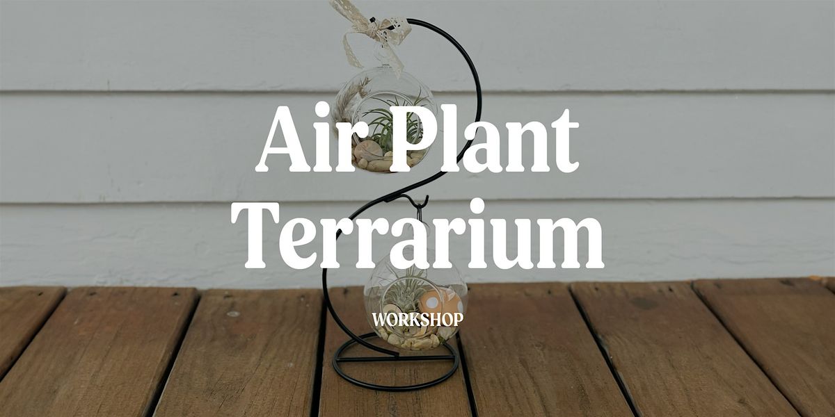 Air Plant Terrarium Workshop with Mads of All Trades