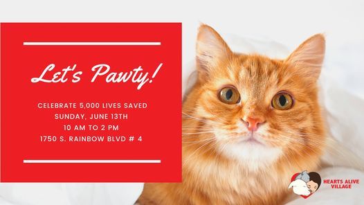 Hearts Alive Village's 5,000 Lives Saved Pawty