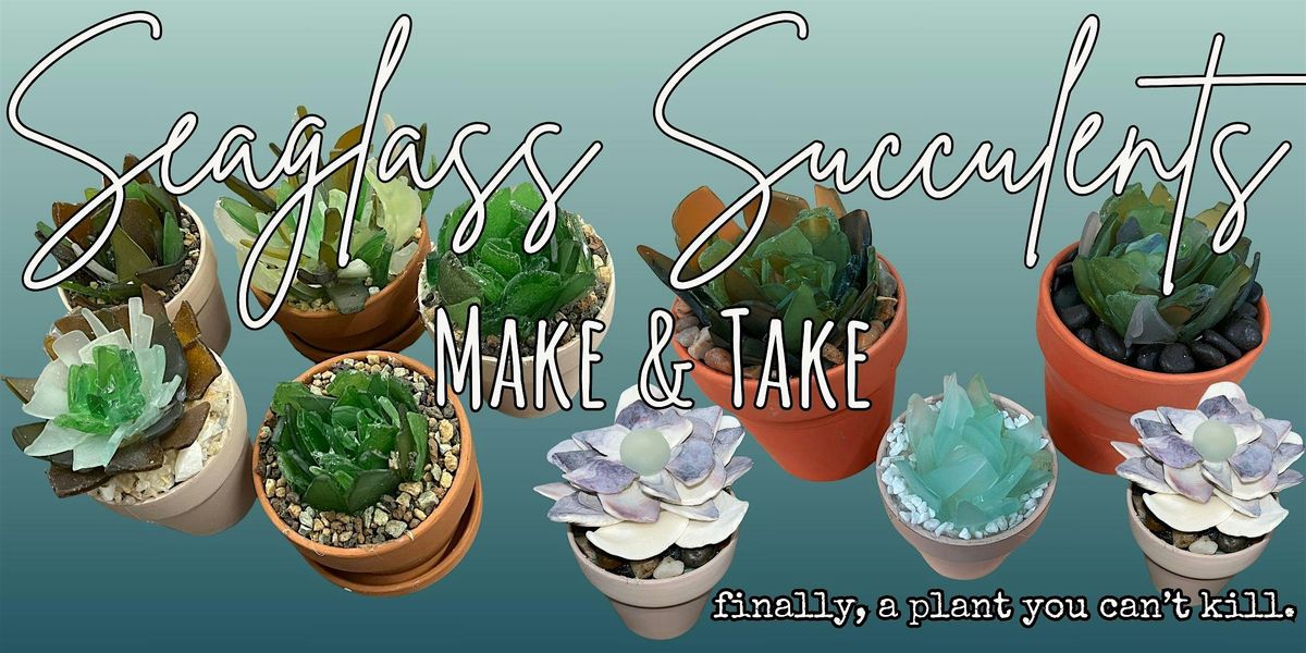 Seaglass and Shells Succulents
