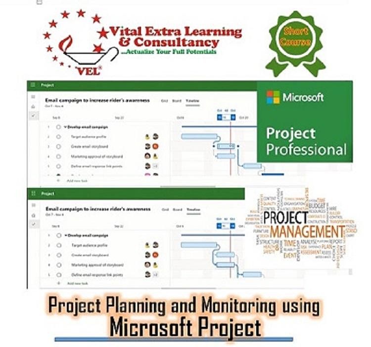 Project Planning and Monitoring using Microsoft Project, Vital Extra ...