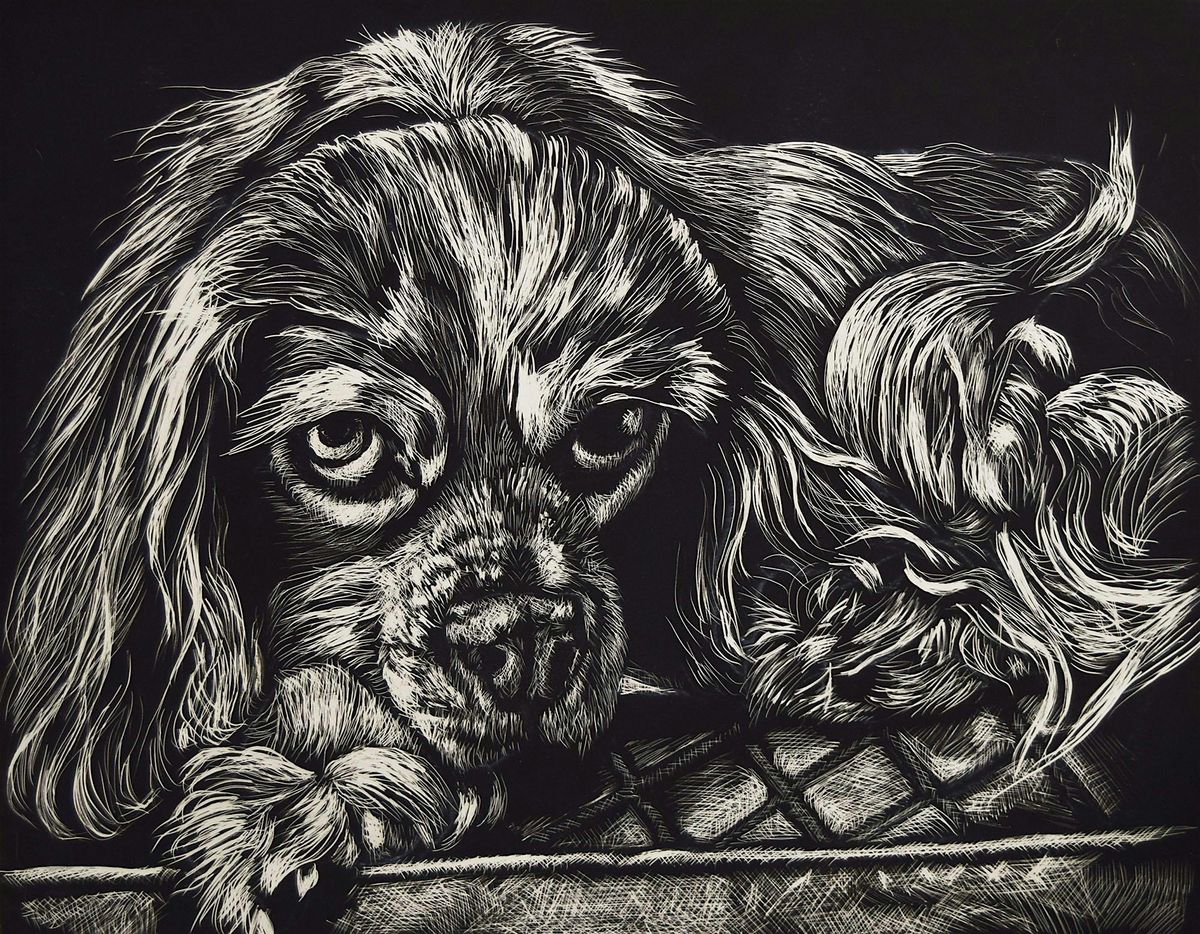 Scratchboard to a New Level