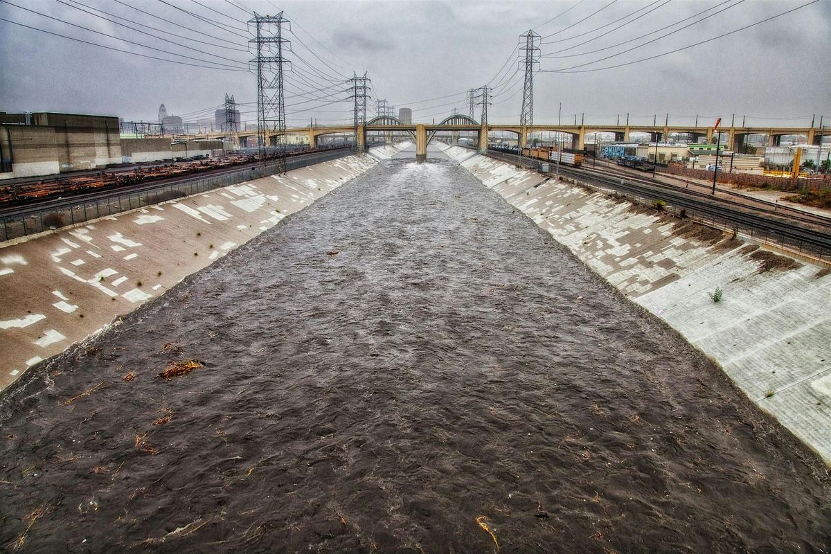 Walks of Resilience and Accountability: LOS ANGELES