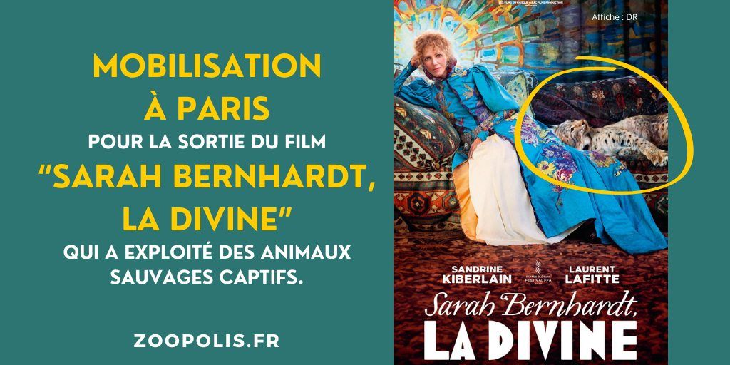 PARIS 5e \/ Sarah Bernhardt : mobilisation pour l'avant-premi\u00e8re