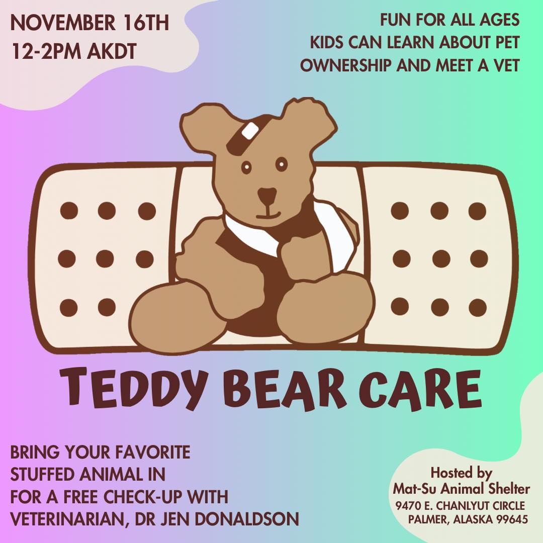 Teddy Bear Care with Dr. Jen Donaldson