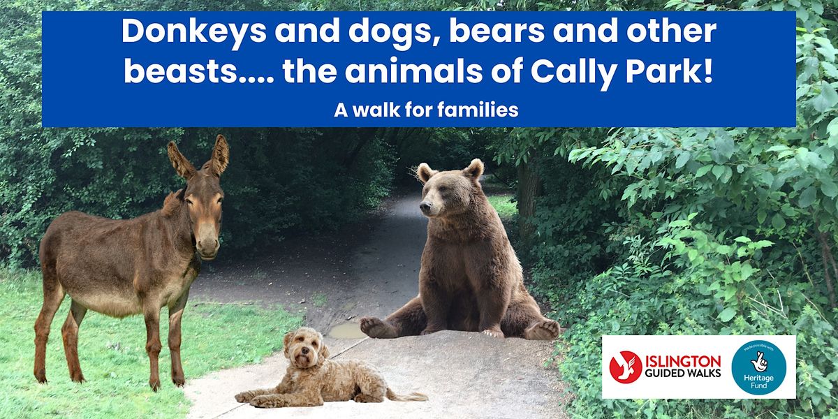 Donkeys and dogs, bears and other beasts.... the animals of Cally Park